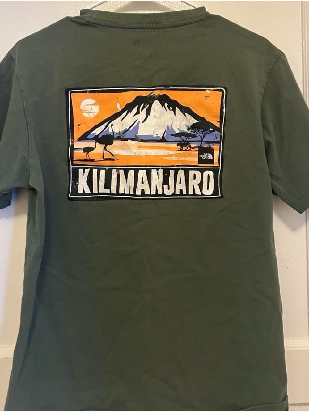 The North Face Olive Kilimanjaro Graphic Short Sleeve Tee